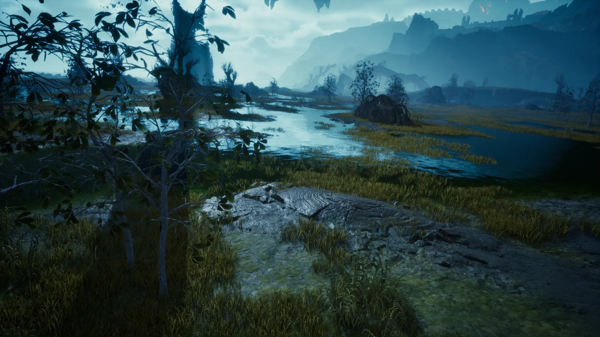Asmodians environment