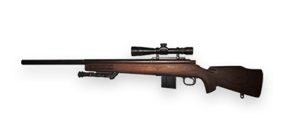#t( Weapon) SN700 Customization
