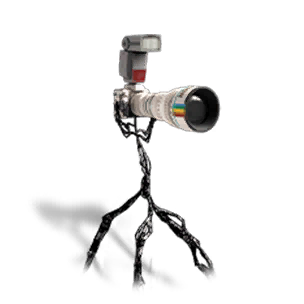 ZapCam