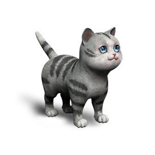 Extradimensional Cat