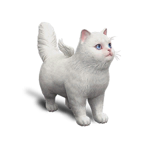 Chaotic Extradimensional Cat